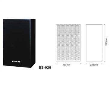 壁掛木質(zhì)音箱（10W/20W）BS-920